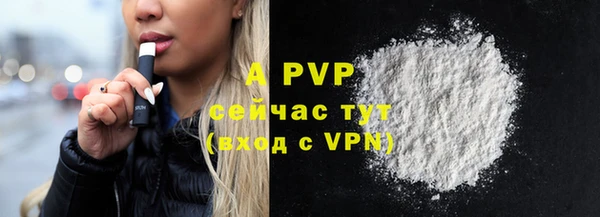 тгк Белокуриха