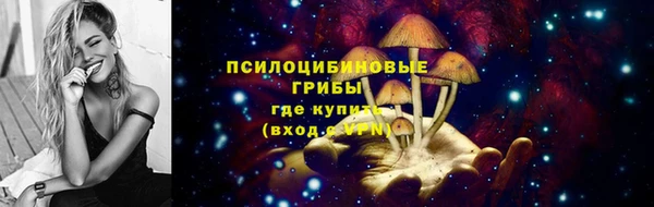 тгк Белокуриха